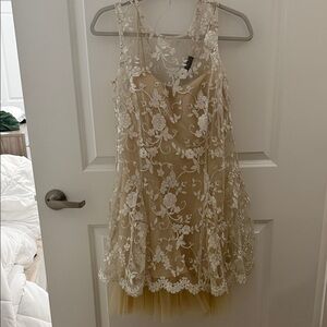 Elegant Lace Overlay Dress